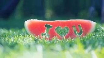 吃瓜语录经典,揭秘娱乐圈幕后真相