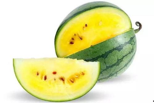 菏泽单县吃瓜,瓜果飘香,品味田园生活