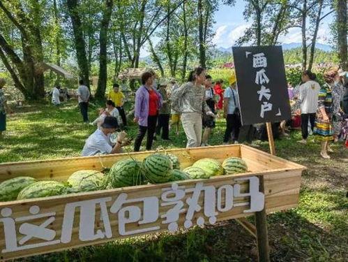 枫爷吃瓜,揭秘娱乐圈那些不为人知的幕后故事