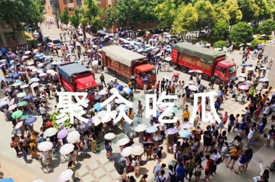 关于大学的吃瓜事件,揭秘校园饮食安全与文明